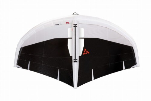 wing1.webp